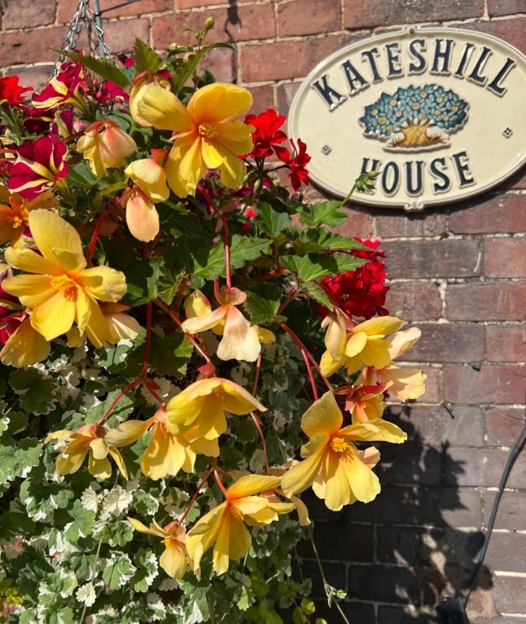 Kateshill House Bed & Breakfast بيودلي المظهر الخارجي الصورة